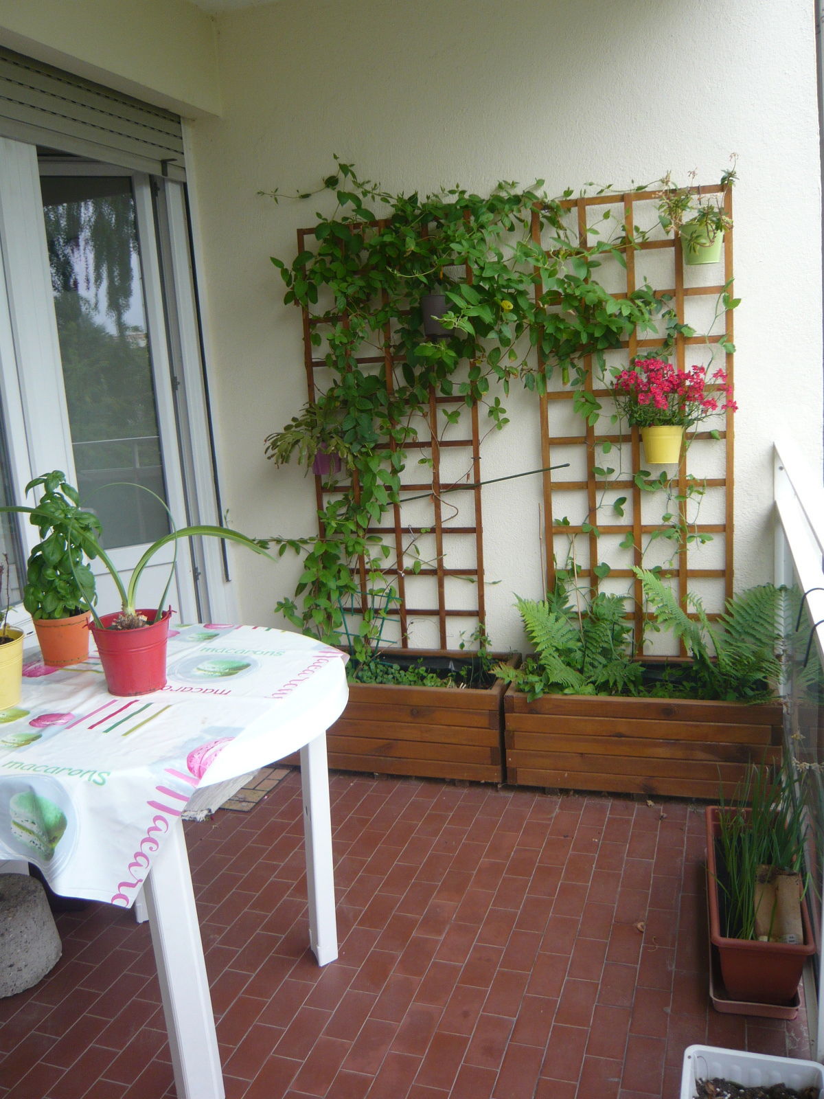 Homestay Illkirch-Graffenstaden 257402