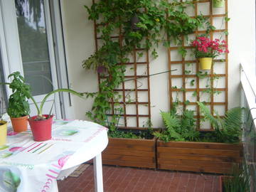 Chambre Chez L'habitant Illkirch-Graffenstaden 257402-5