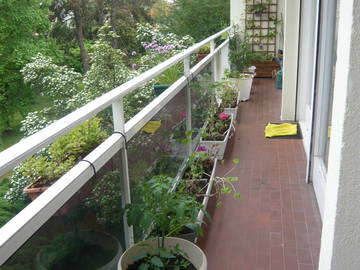 Chambre Chez L'habitant Illkirch-Graffenstaden 257402-6