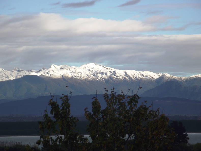 Chambres D'hôtes Nelson 156024-5