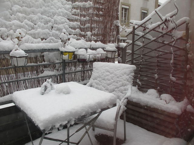 Bed And Breakfast Genève 36851