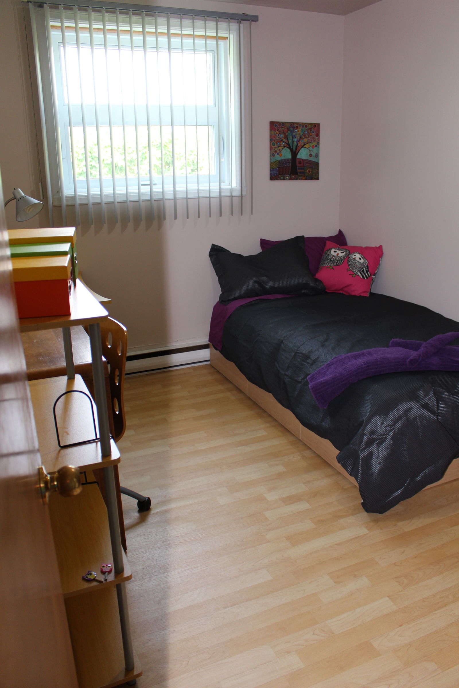 Colocation Québec 163665