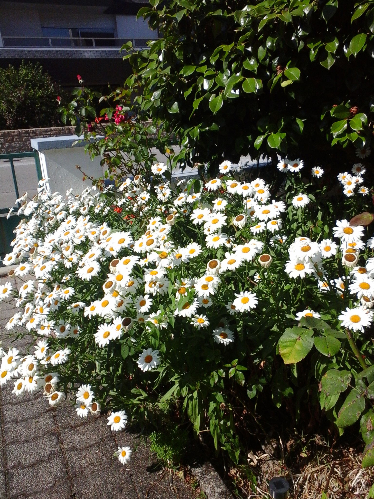 Homestay Sainte-Anne-d'Auray 126705