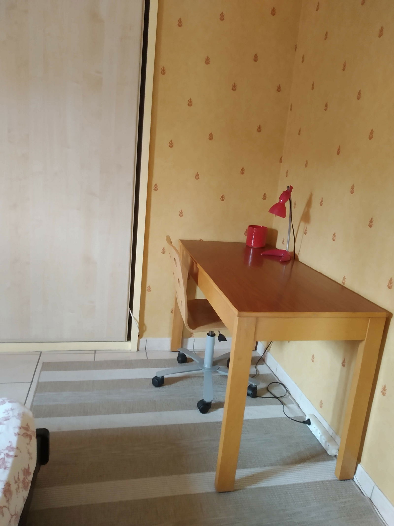 Colocation Toulouse 170312