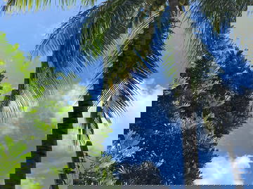 Homestay Lauro De Freitas 262069-5