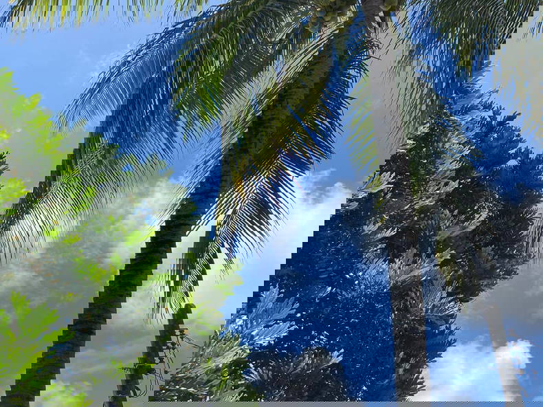 Zakwaterowanie U Rodziny Lauro de Freitas 262069-5