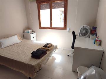 Room For Rent Palma 265306