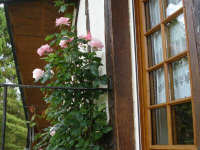 Entire Home Bézancourt 211035-1