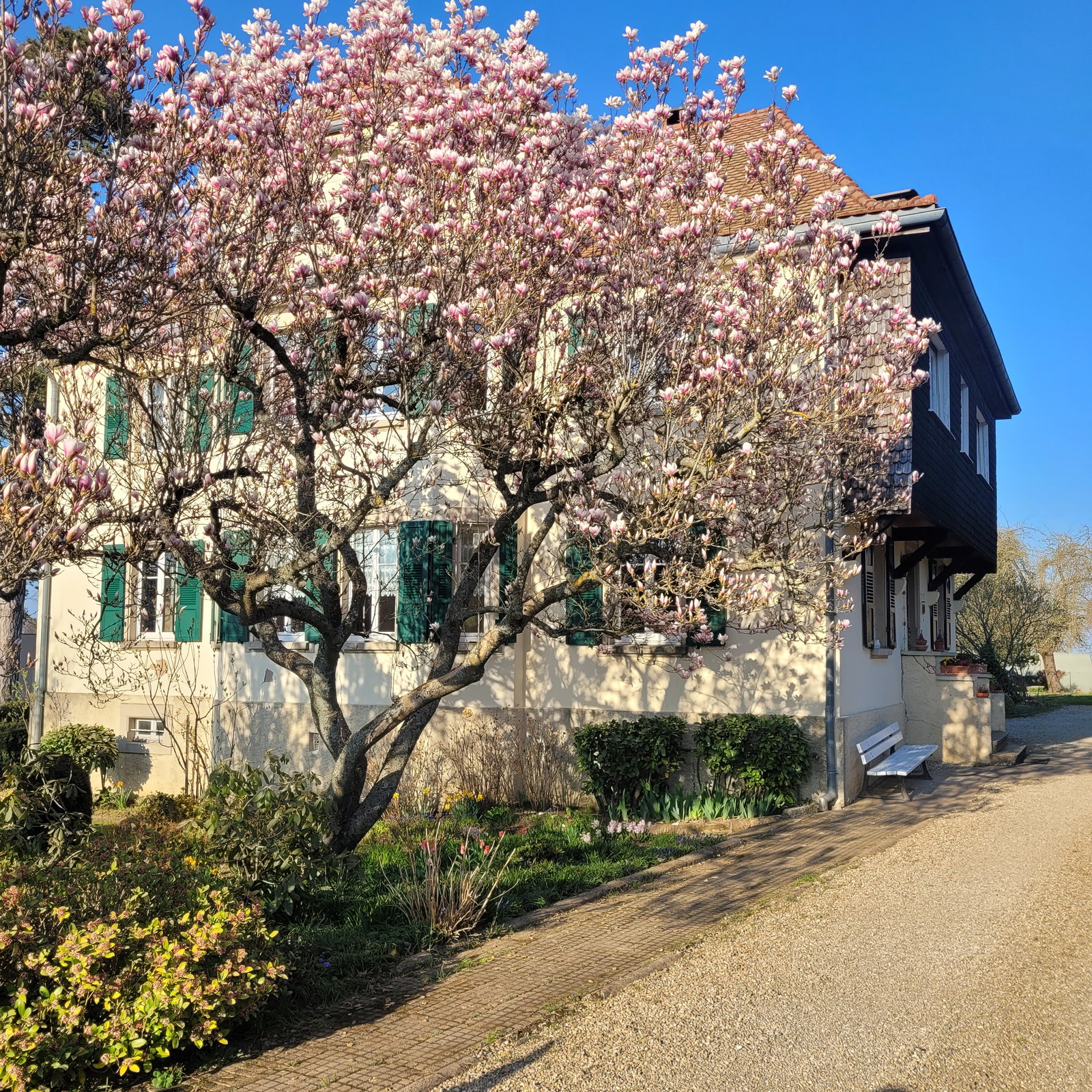 Homestay Cosswiller 263975