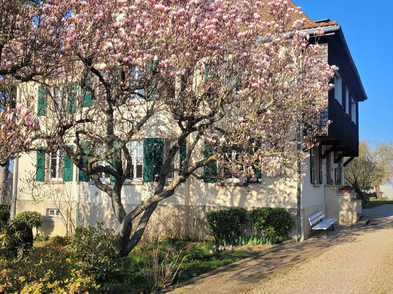 Chambre Chez L'habitant Cosswiller 263975-2