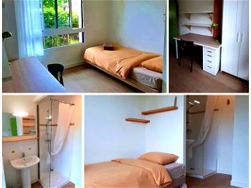 Comfortable Room With Private Sanitary