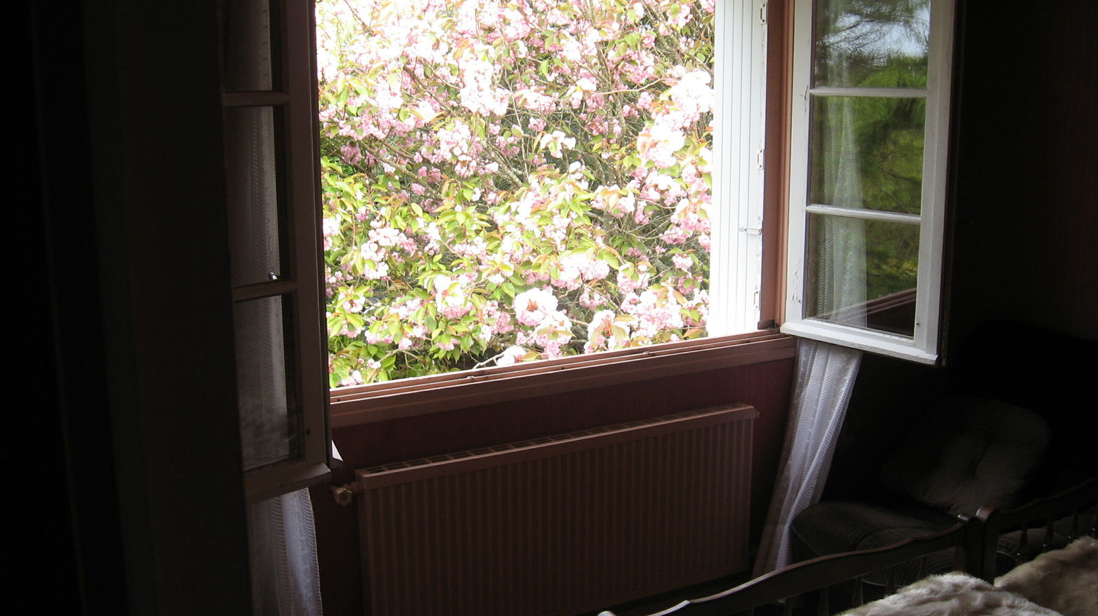 Homestay Fouesnant 86254