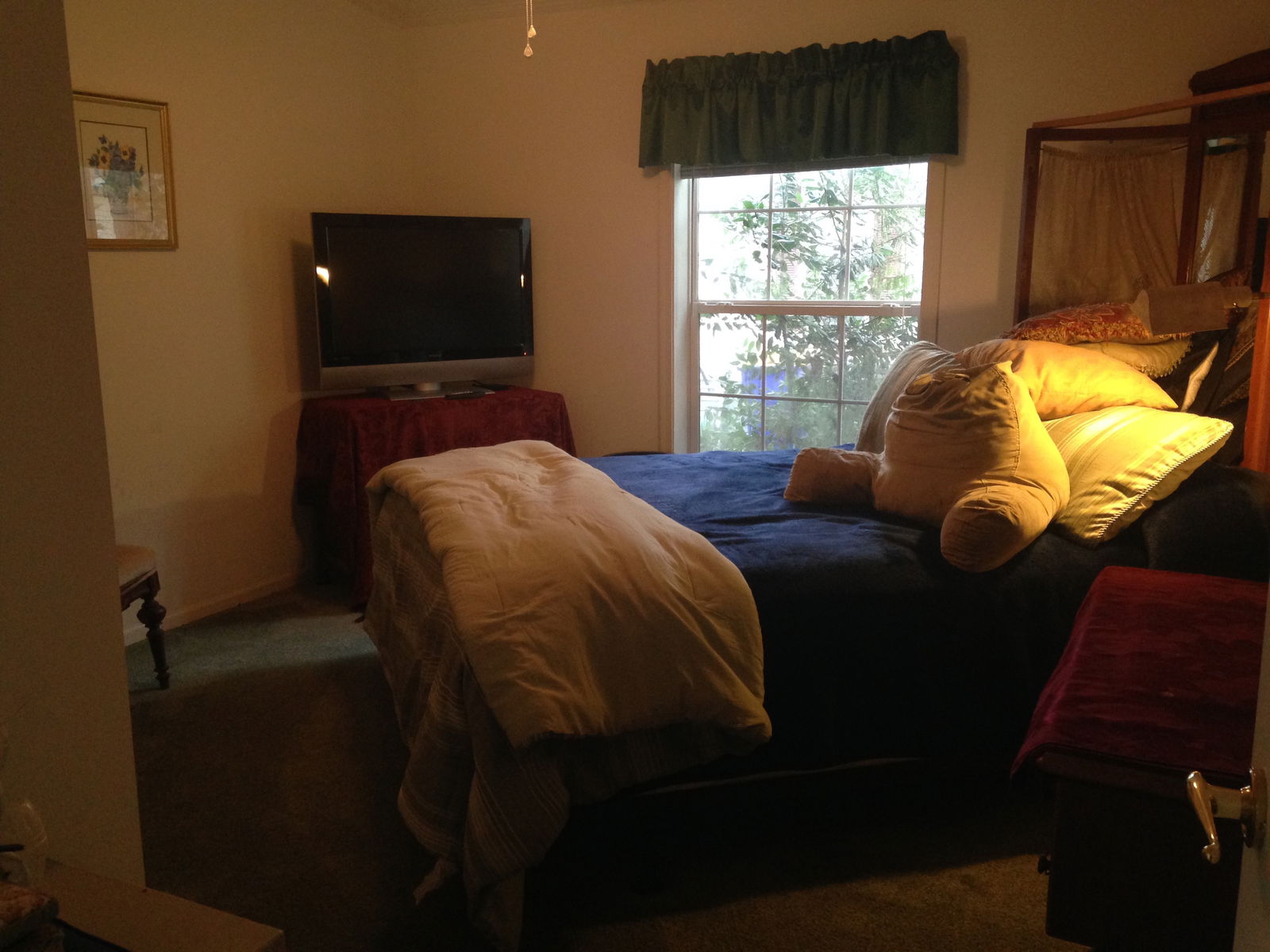 Colocation Long Neck 115354