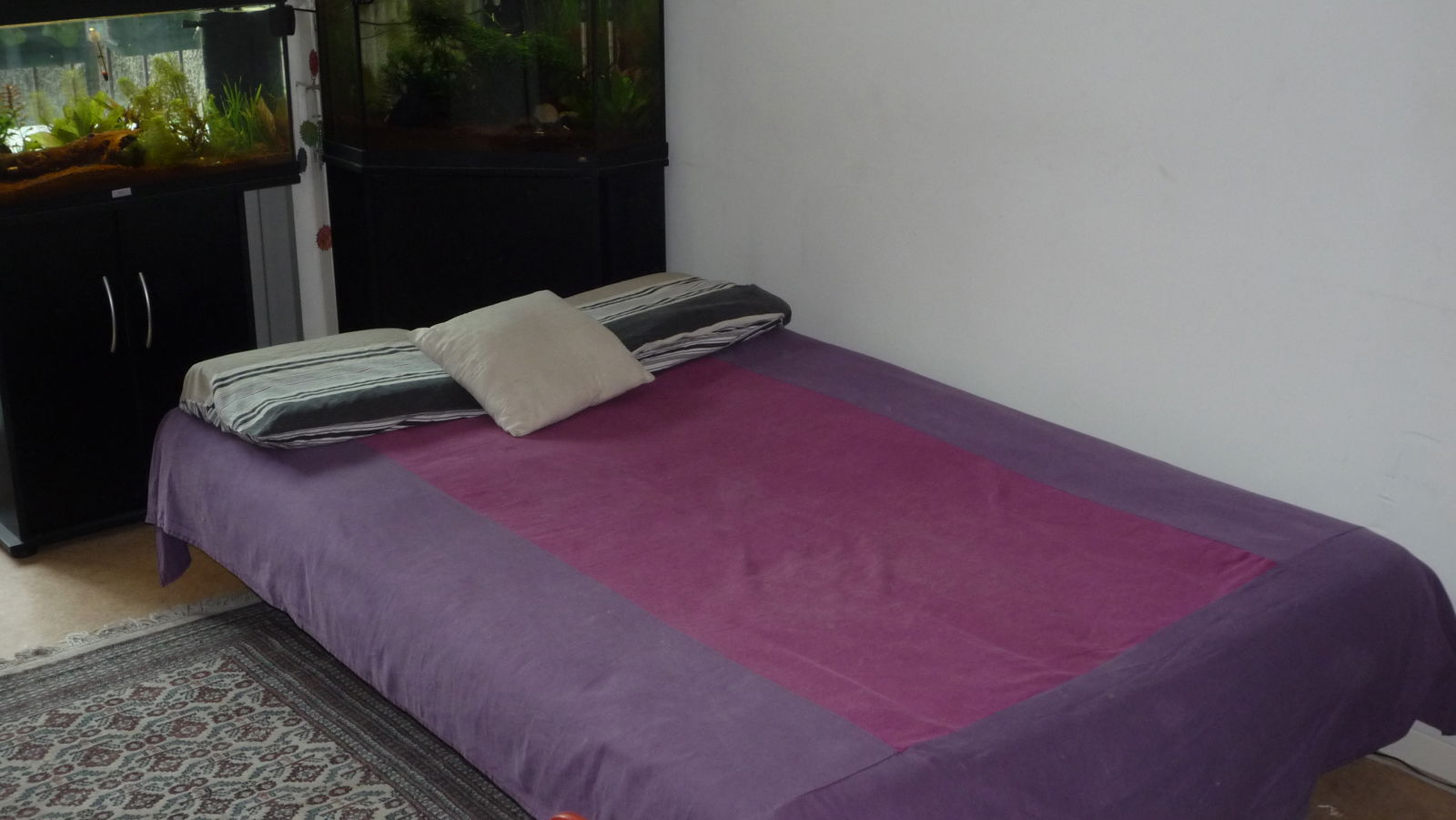 Homestay Lyon 129492