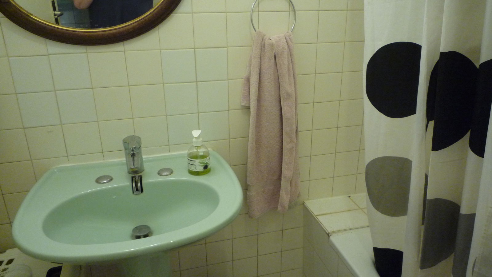 Homestay Lyon 129492