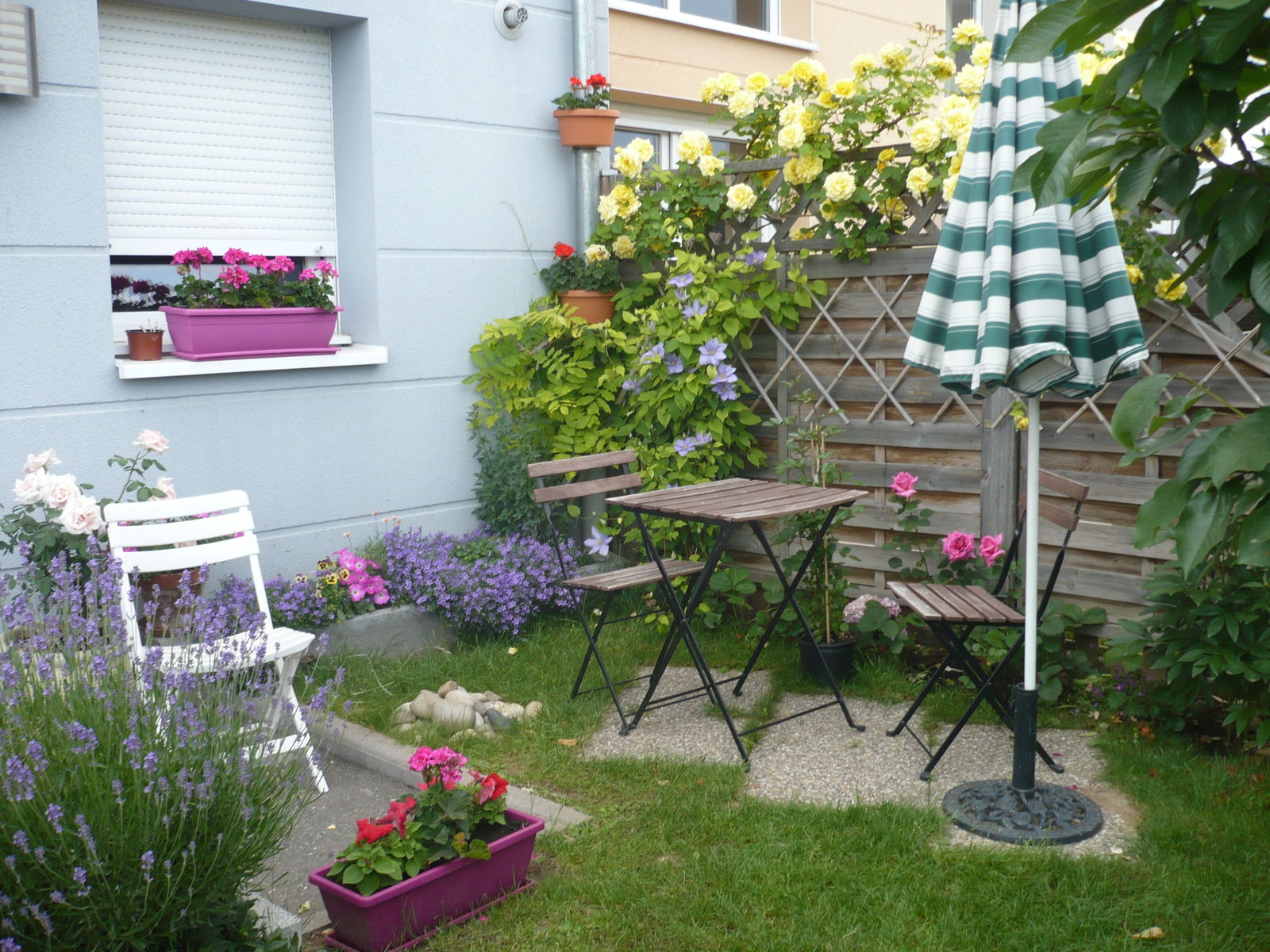 Homestay Strasbourg 143607