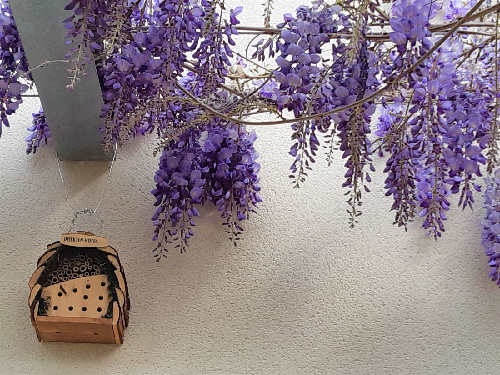 Homestay Pessac 235307