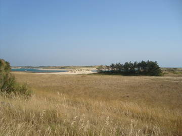 Logement Entier Surtainville 34533-8