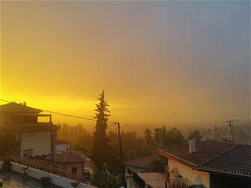 Homestay Monachil 246770-8