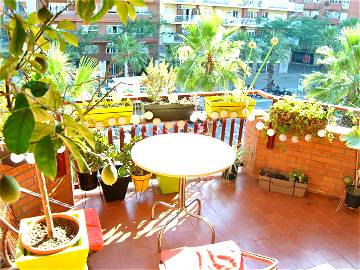 Roomlala | Comfy flat share with sunny balcony