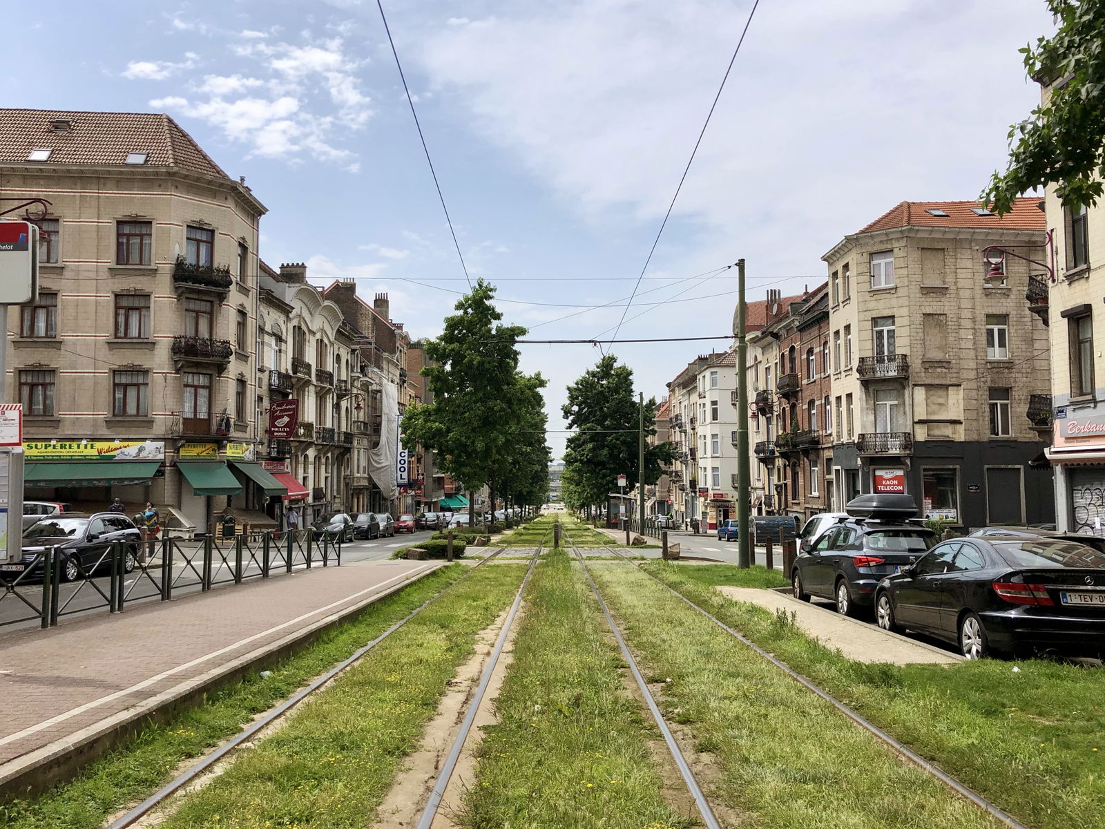 Uafhængigt Studie Forest 257025