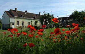 Camere Per Gli Ospiti Artins 66881