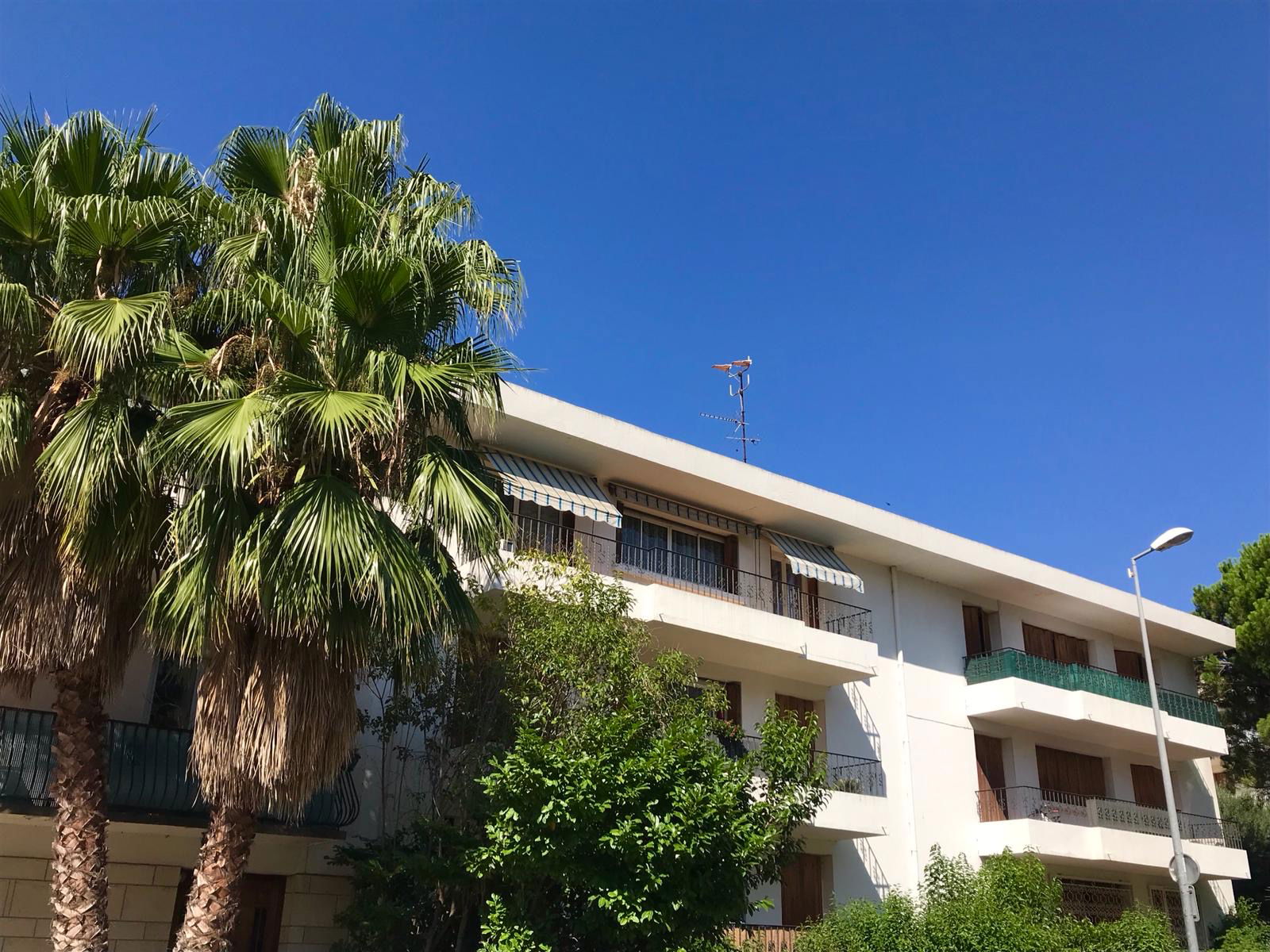 Colocación Perpignan 257648