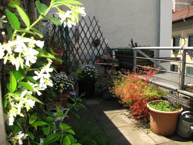 Habitaciones De Huéspedes Genève 36851