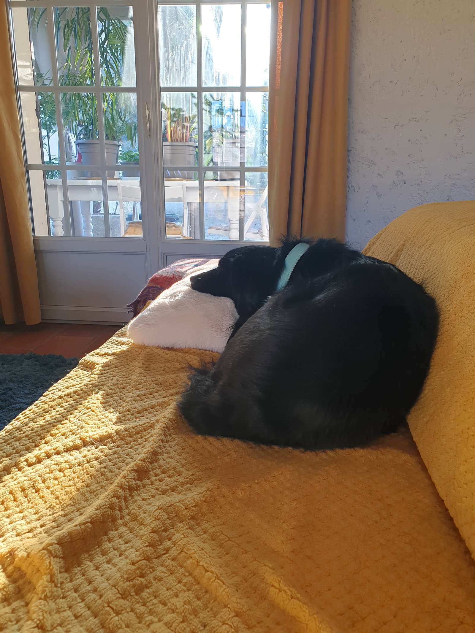 Quedarse En Casa Apt 558504