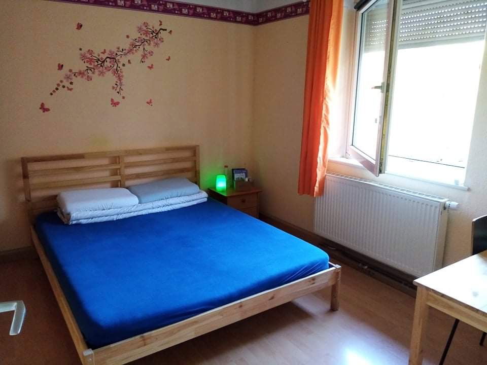 Estudio Independiente Leinfelden-Echterdingen 255670