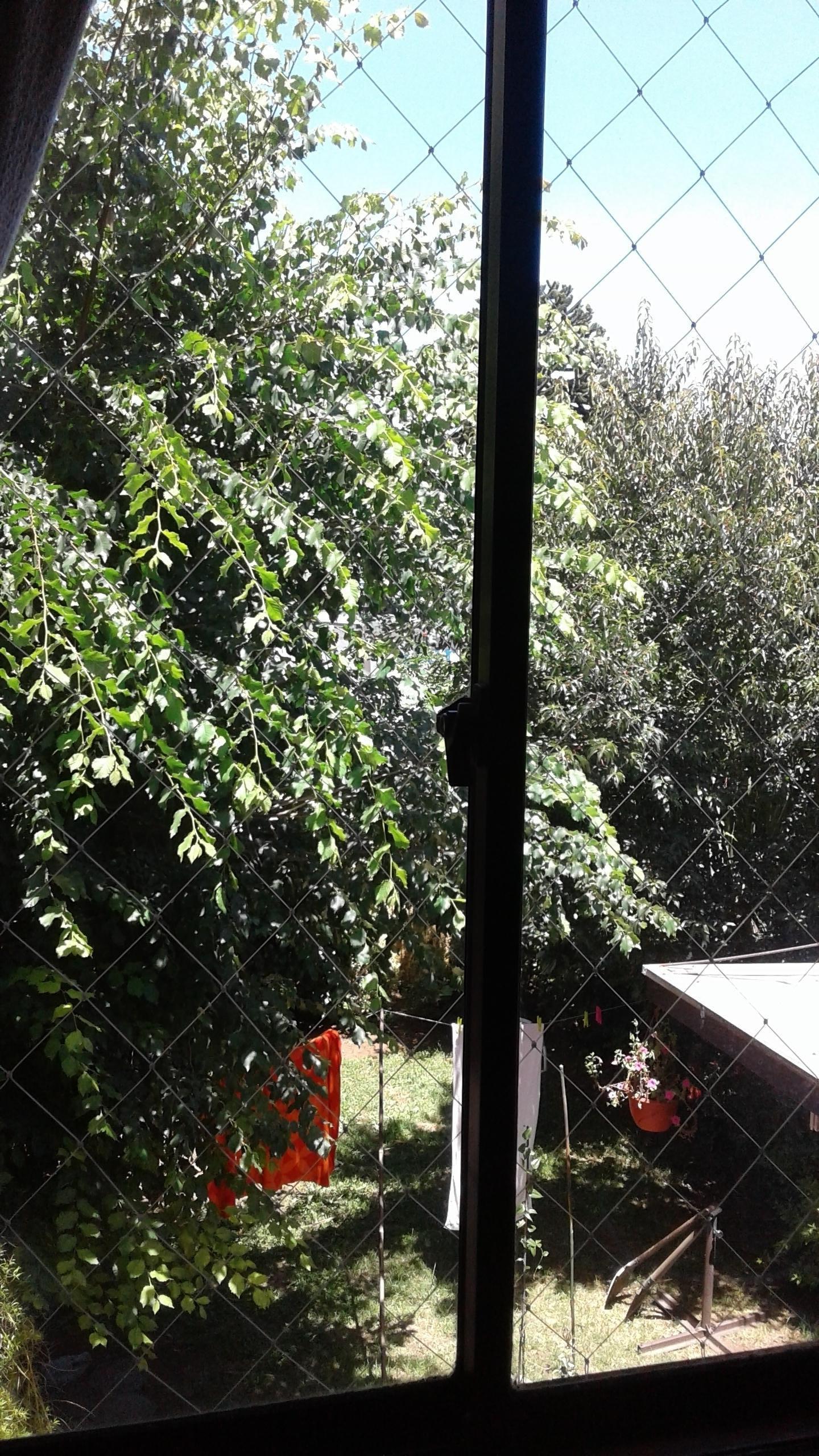 Habitaciones De Huéspedes Temuco 153657