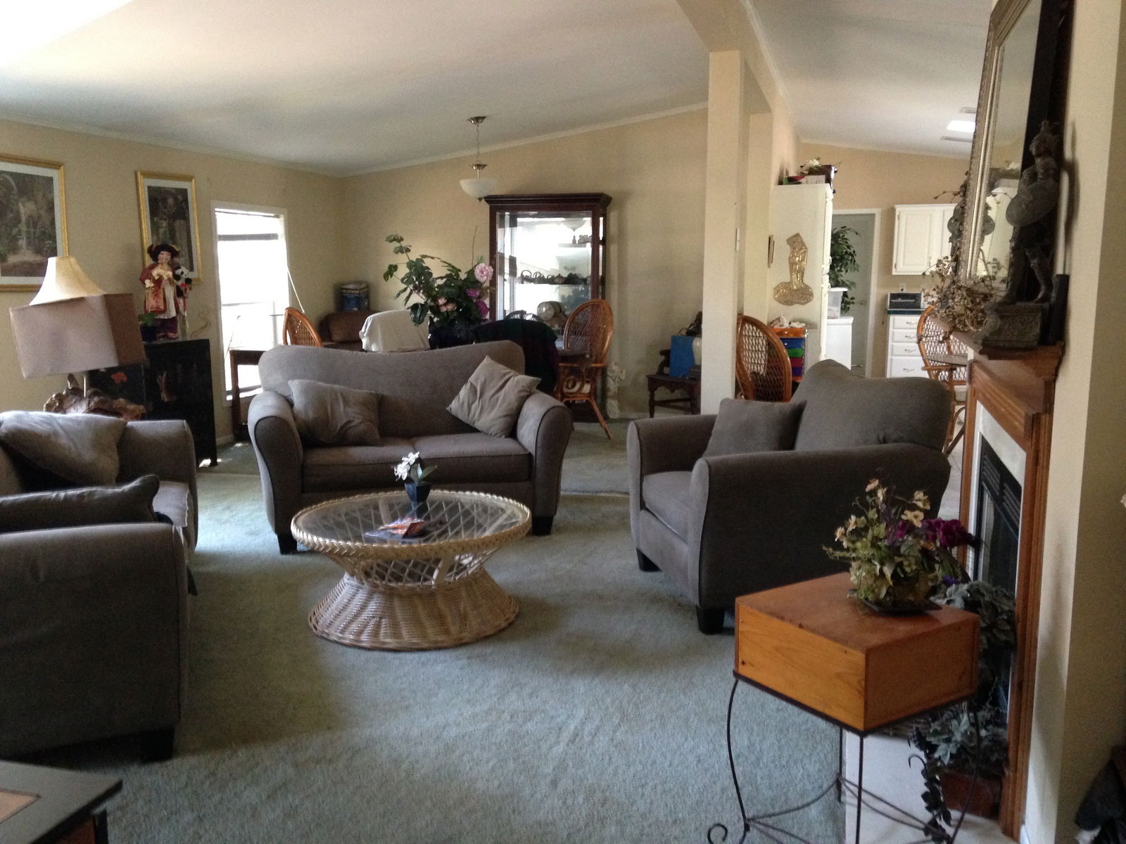 Collocazione Long Neck 115354