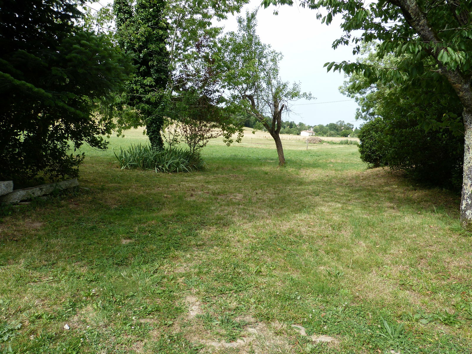 Collocazione Castres 53468