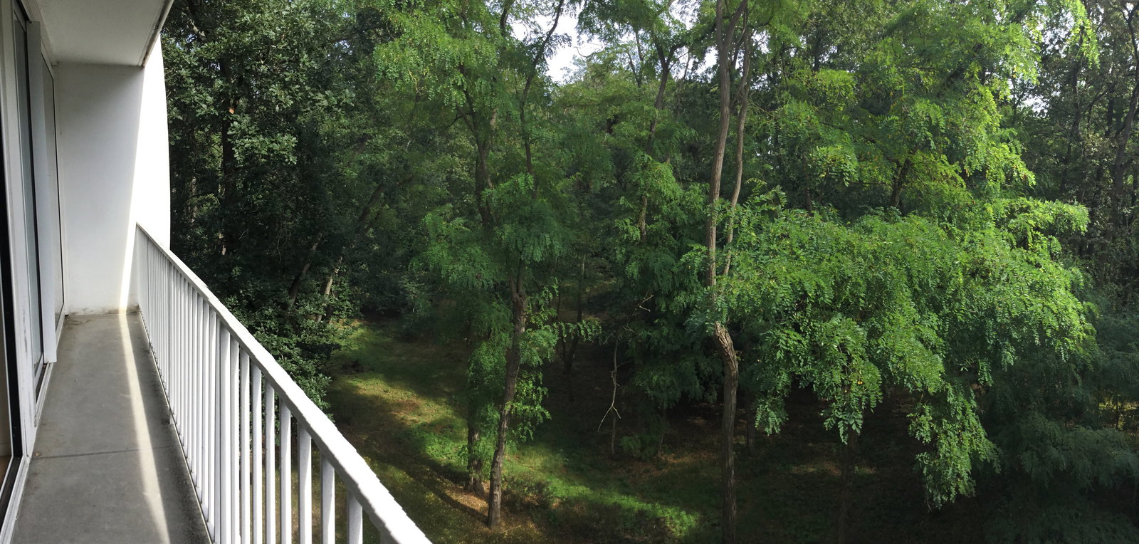 Collocazione Cergy 256408