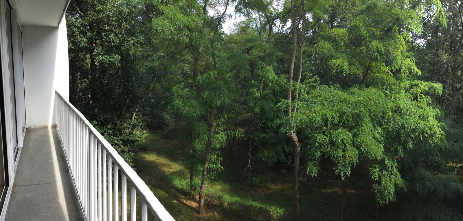 Collocazione Cergy 256408