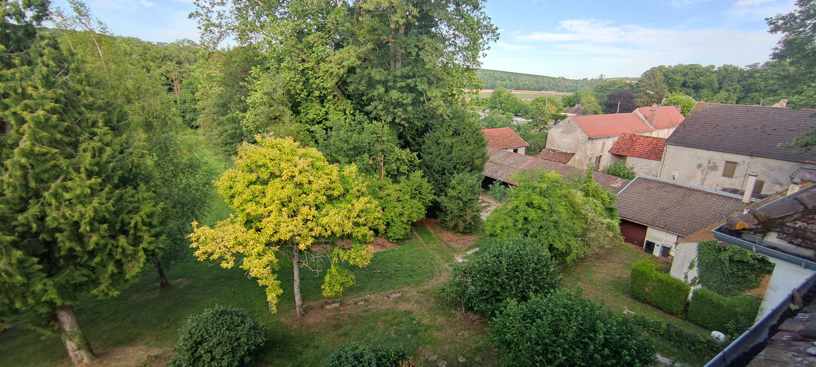 Collocazione Citry 266074