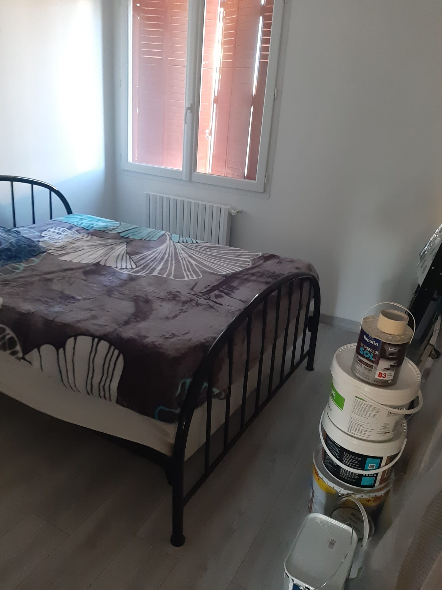 Famiglia Avignon 429030