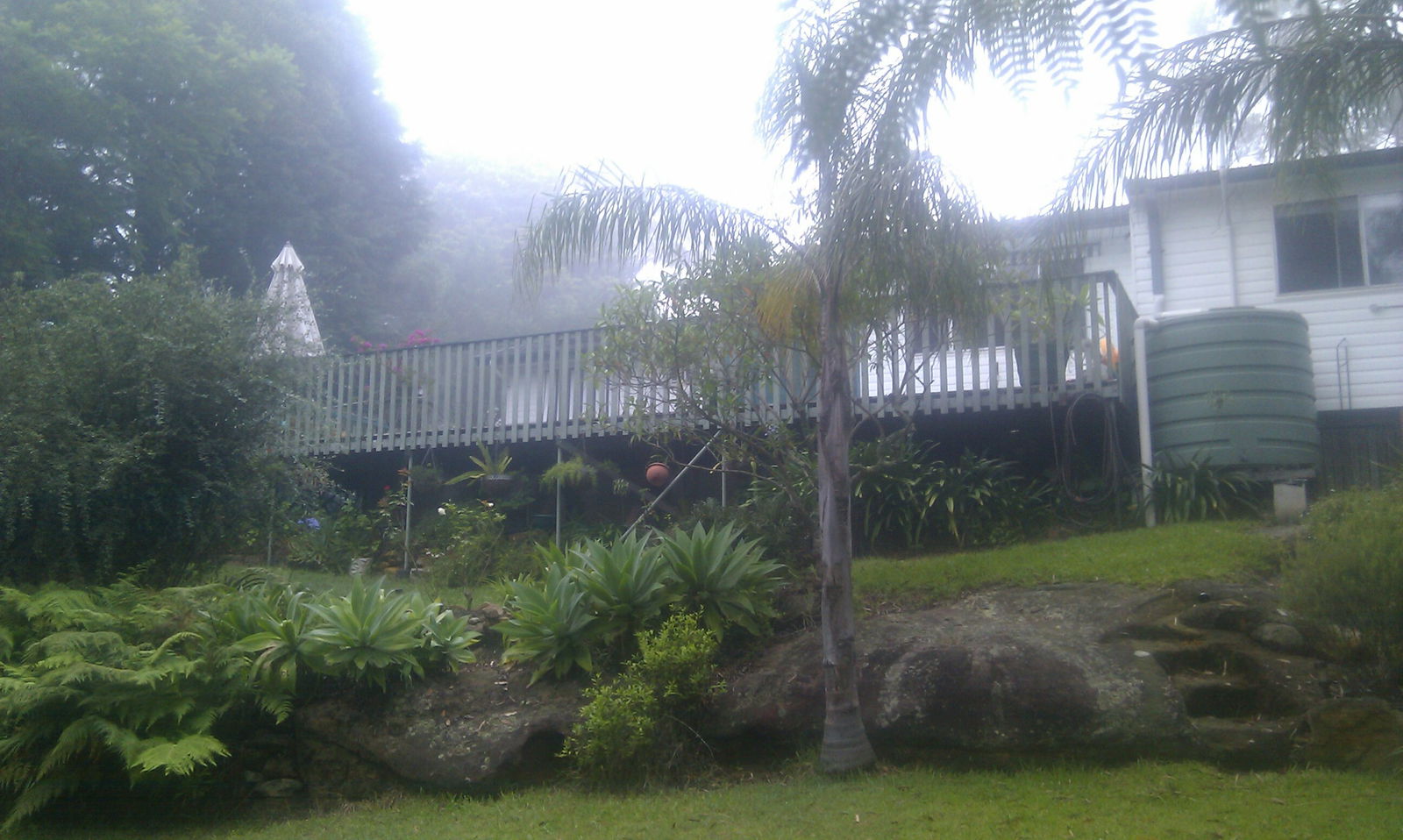 Quedarse En Casa Springwood 149173