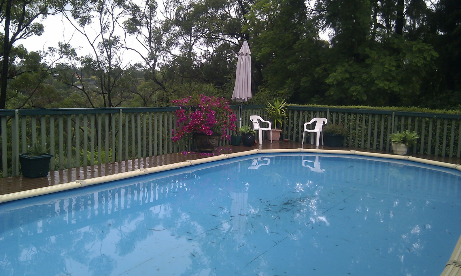 Quedarse En Casa Springwood 149173