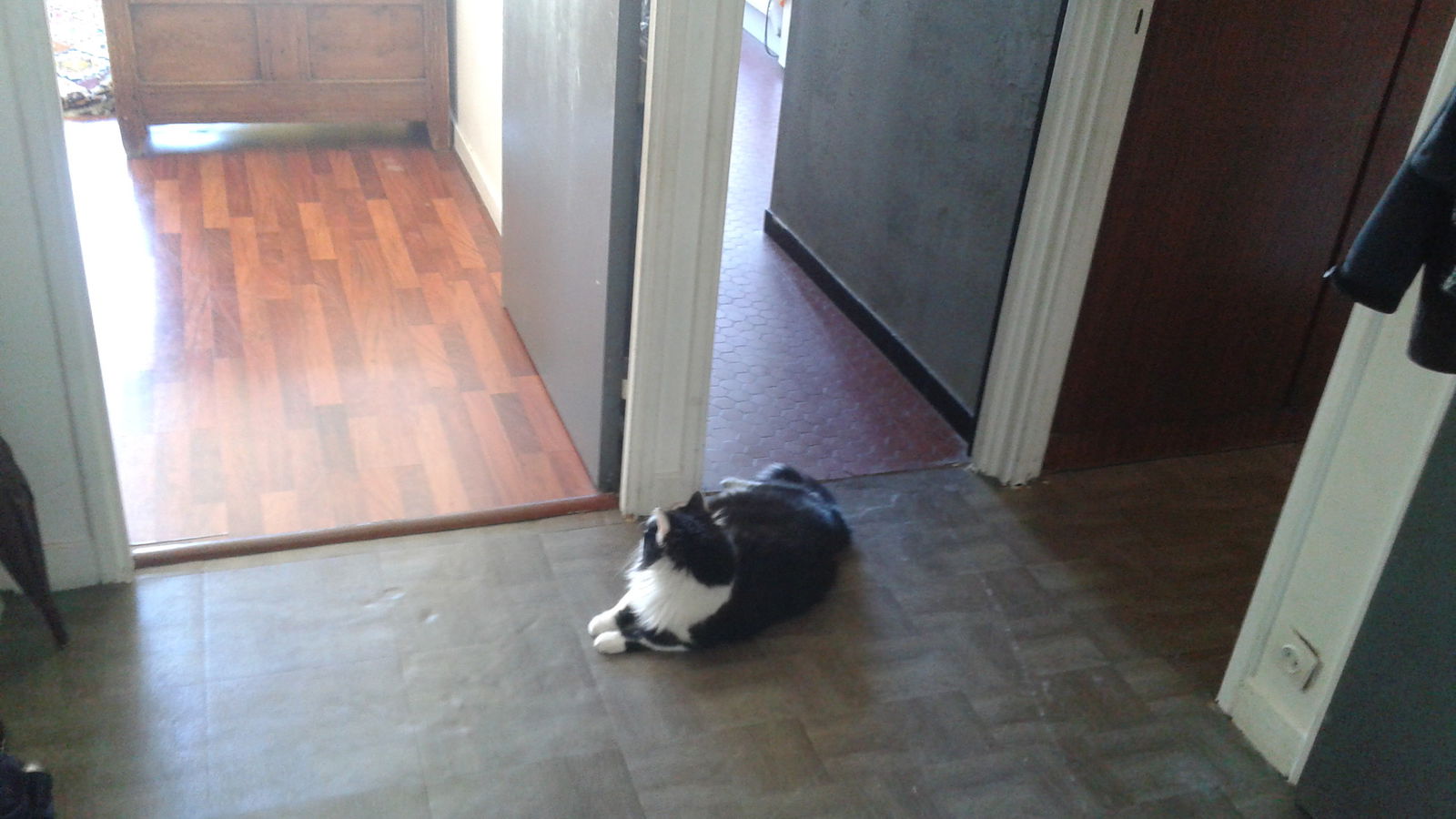 Colocación Paris 133574