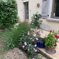 Colocación Satolas-et-Bonce 69601