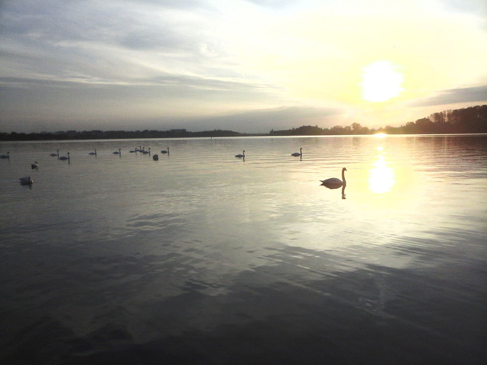 Colocación Jonage 158879