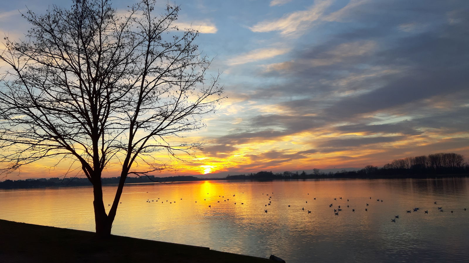 Colocación Jonage 158879