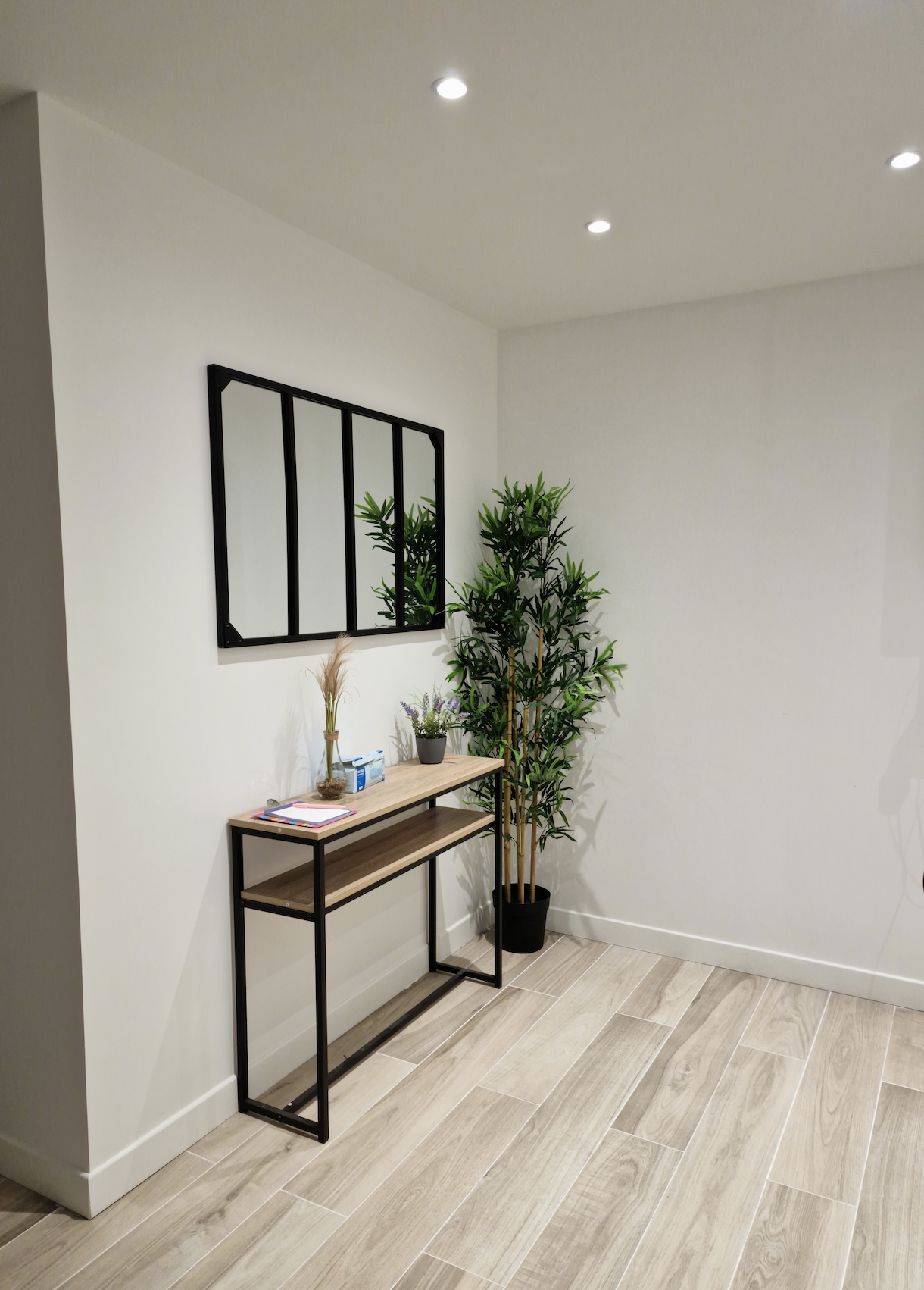 Colocación Torcy 263347
