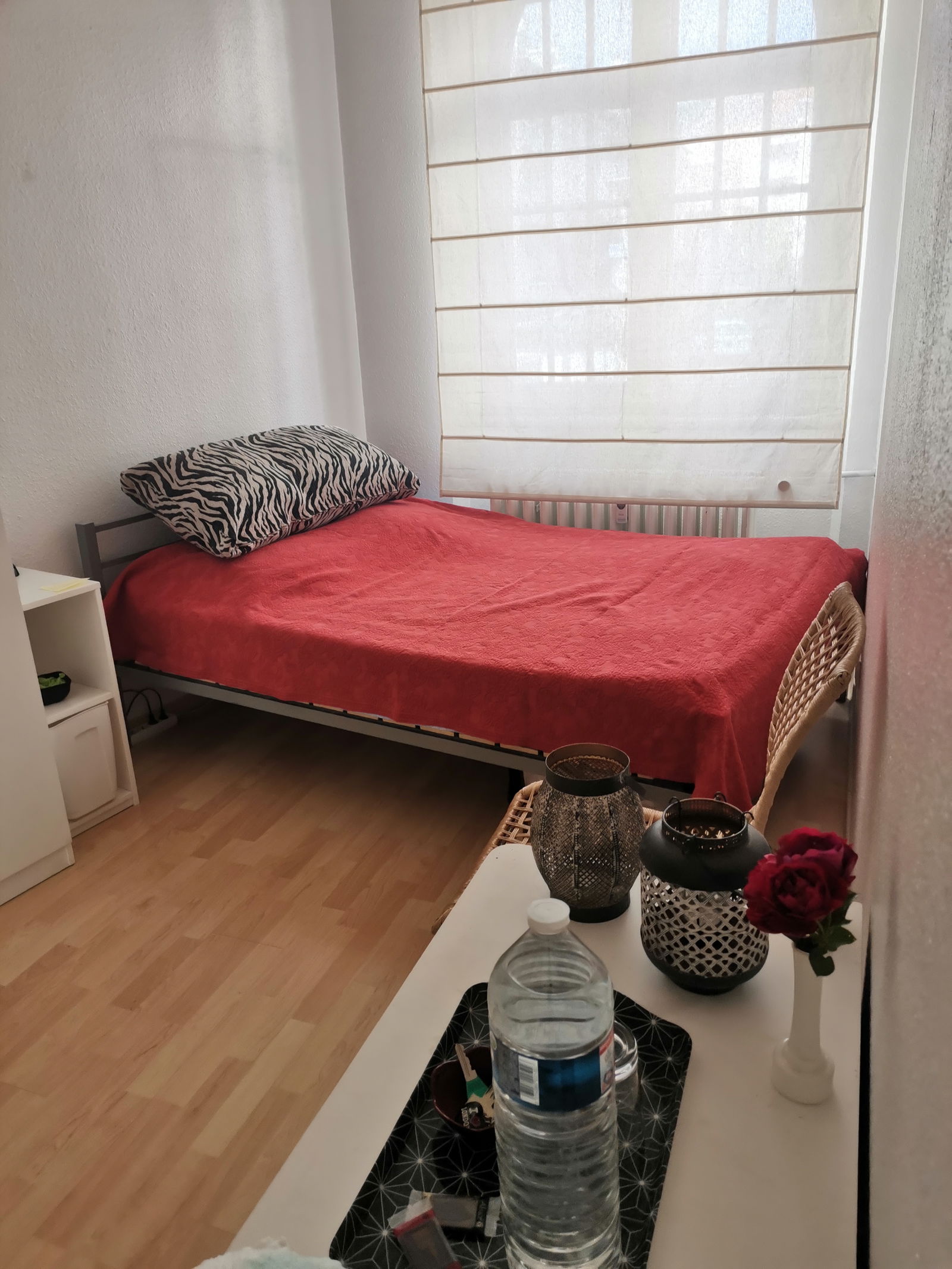 Colocación Strasbourg 247648