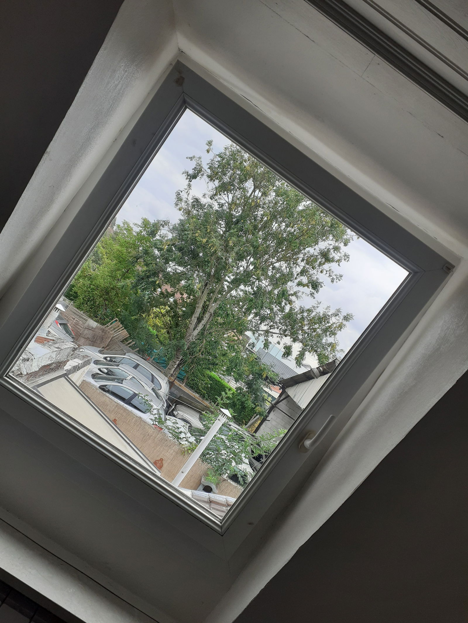 Colocación Wattrelos 61729