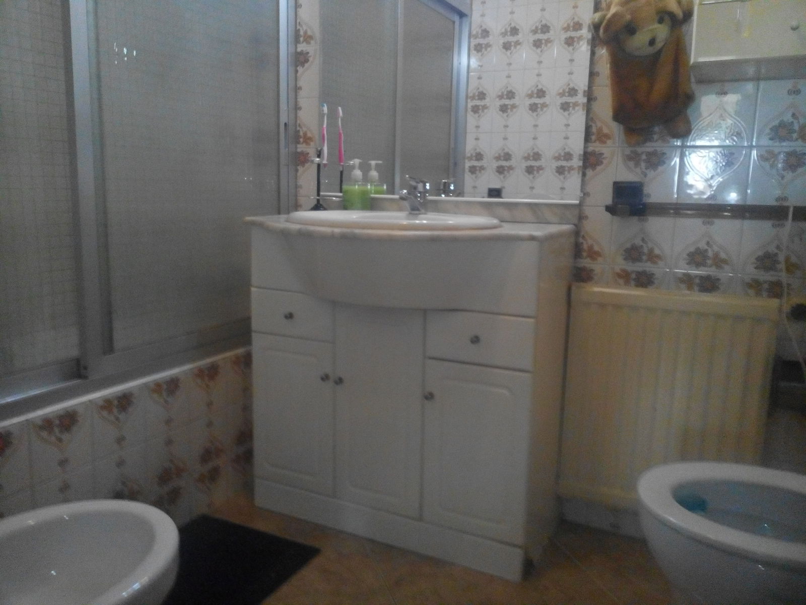 Colocación Logroño 111342