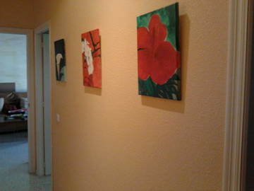 Colocation Sevilla 156736-8