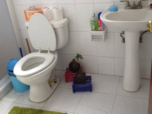 Kolokation Ciudad de México 141697-4