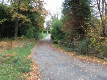 Logement Entier Compreignac 214832-4